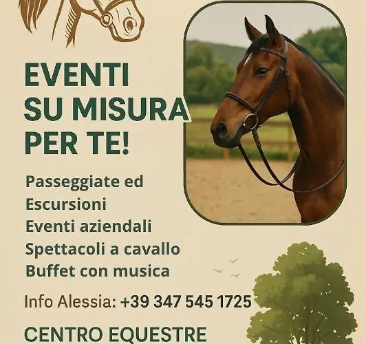 بيت ضيافة Domus Fabia - & 3*